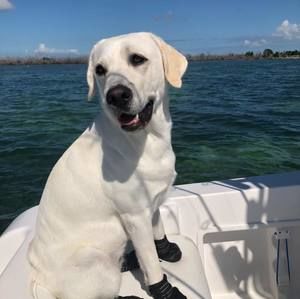 Meet your Posher, Becky